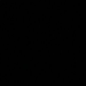 Meet your Posher, Maura